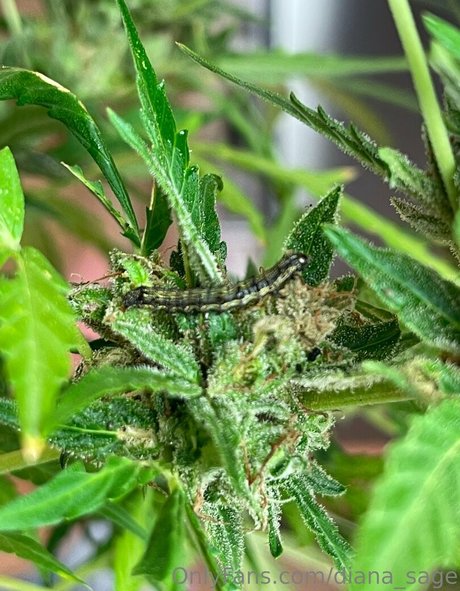 redhead ass onlyfans art naked pic