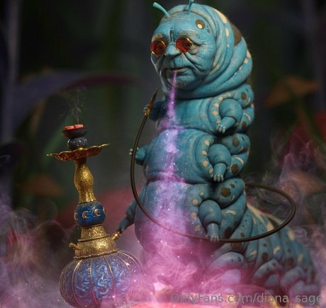 more than palnts star hd galleries