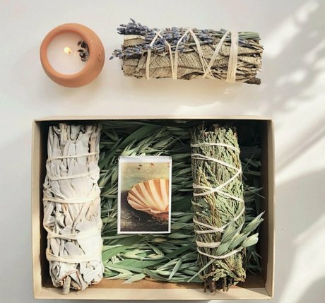 more than palnts adult model image