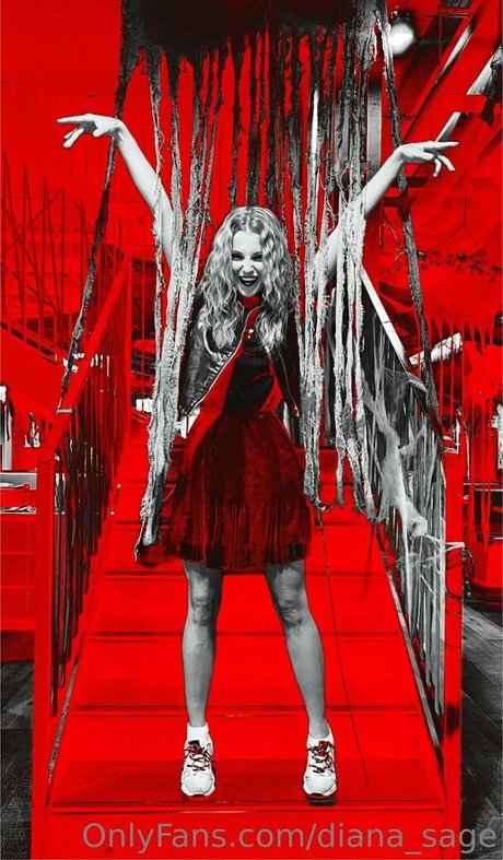 more than palnts exclusive star gallery