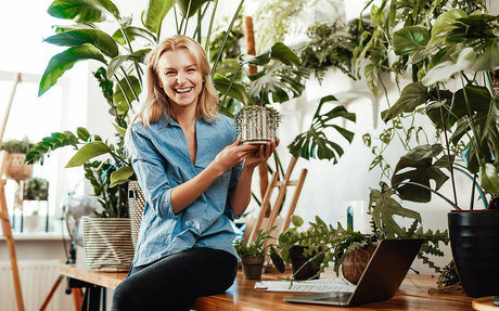 more than palnts Profile pic