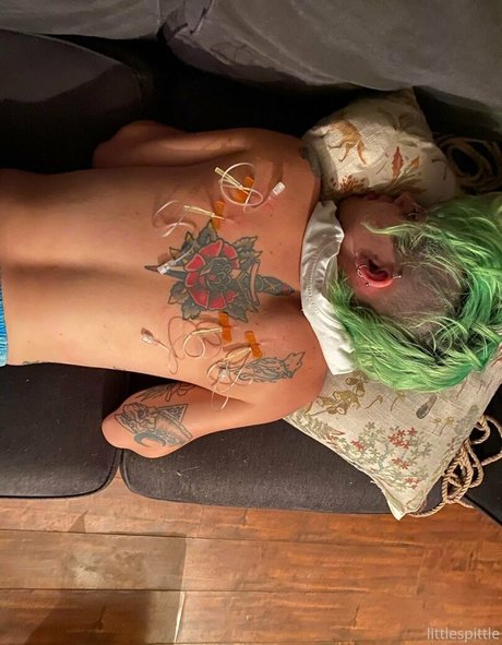 Little Spittle free model image