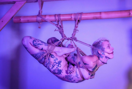 Little Spittle adult model archive