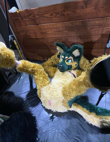 anejo xxx kaii best star pics