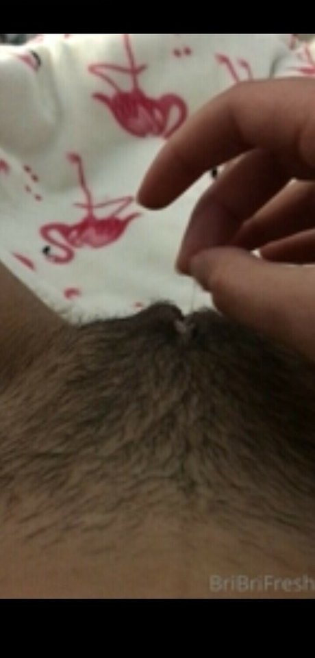 Brianna Florian art pornstar galleries