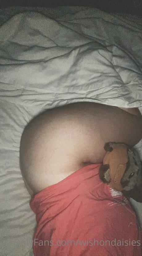 wishondaisies porn model image