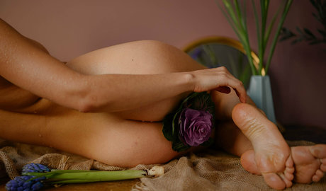 petitenikolefree adult actress image