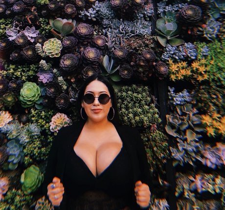 realroses star nice image