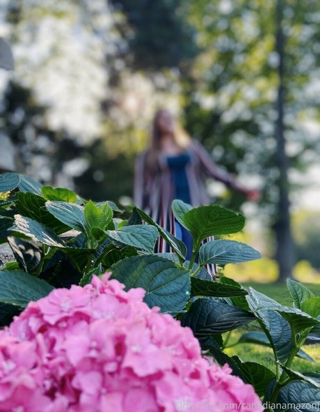 amazonjacq star top photo