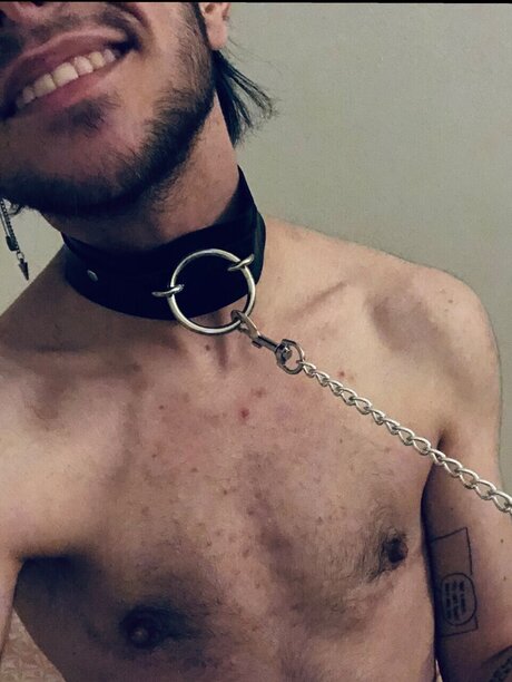 Persimmon model hd gallery