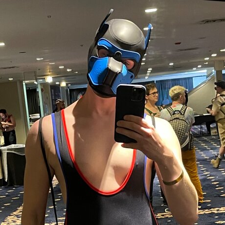 Growing bull xxx star images