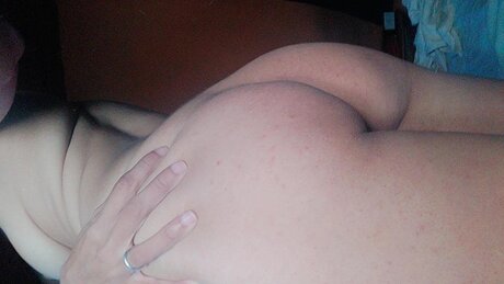 Aixa michelle hot pornstar archive