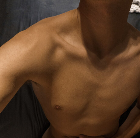 UrAverageStudent star free archive