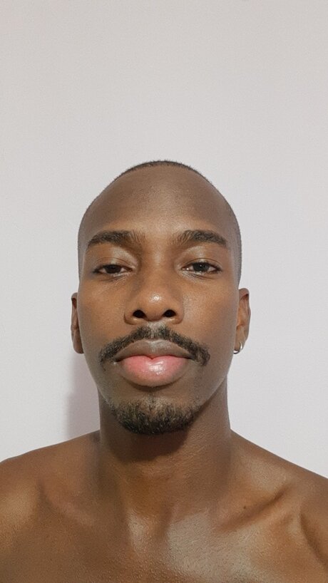 Preto model art image