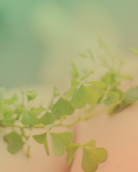 Nora Lorc in nude actress image