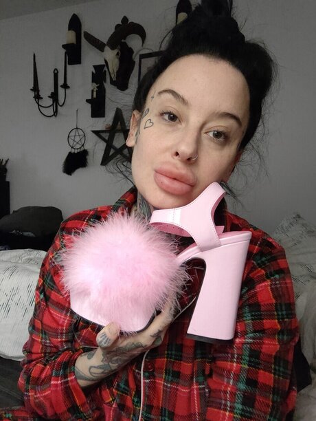 Hanlovesshoes star free images