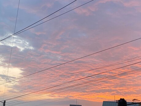 Cutie Foxy model top gallery