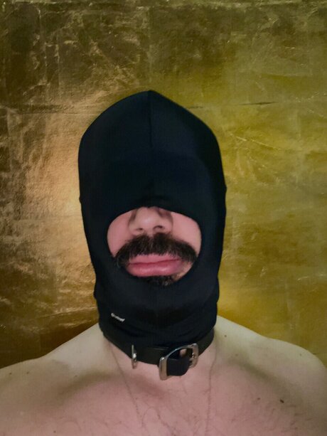 Bruno hot star galleries