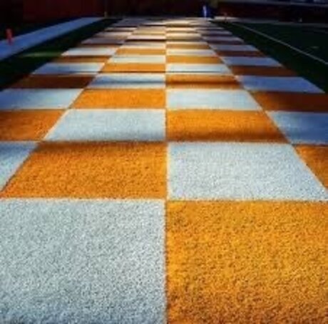 Lordsuhleaping perfect pornstar pics