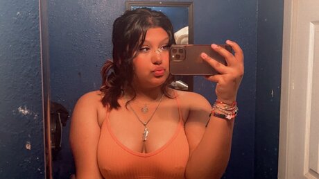 Ameera erotic actress pics