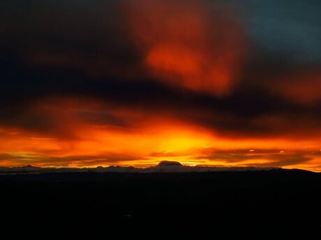 Anderson Javier erotic pornstar img