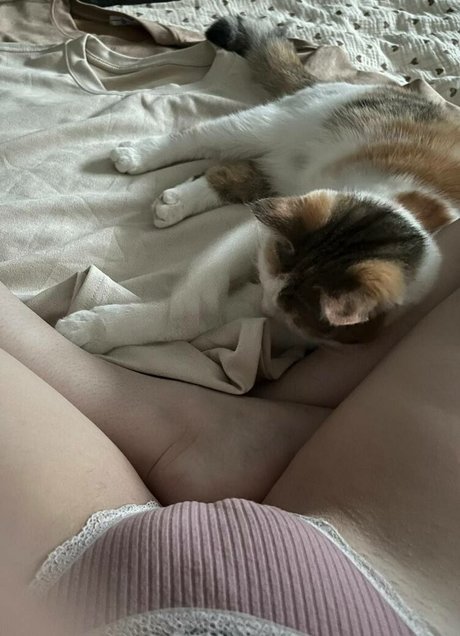 Aorta model free gallery