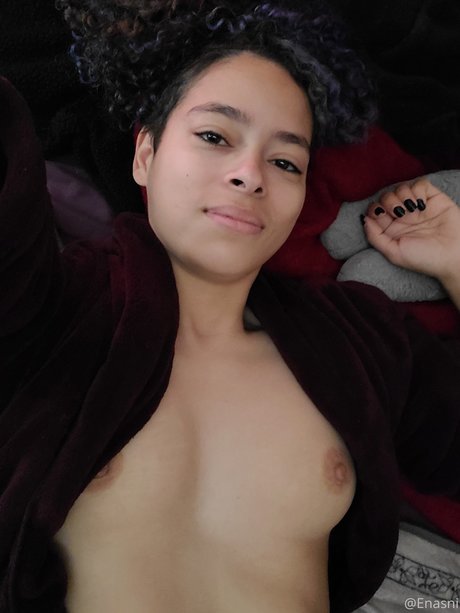 enasni model top image