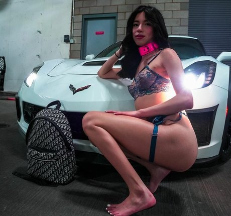 Camila Cream star free images