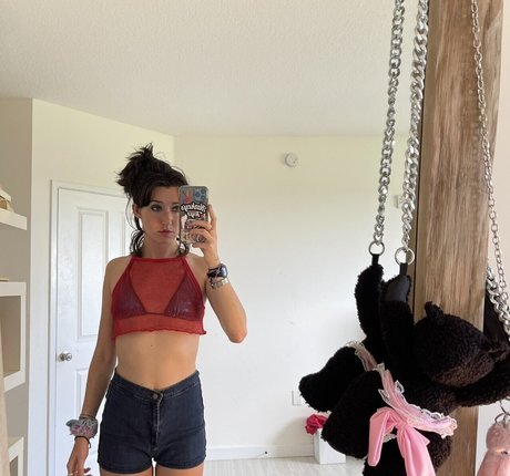 Anne Frank star perfect archive