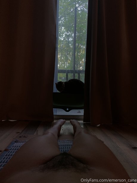 Emerson cane star pretty images