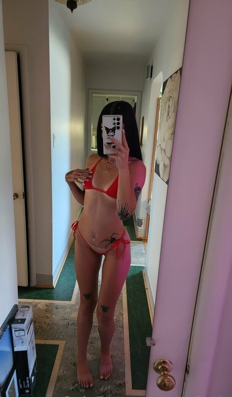 Perfexia star art photos