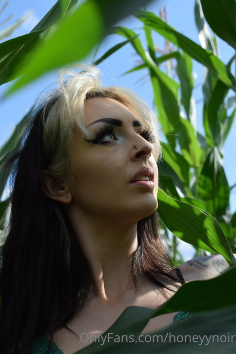 Honeyy Noir star top picture