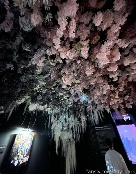 Ady Dark star nudes img