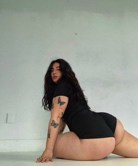 Camiraddd model top img