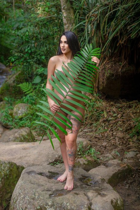 HotKingAndQueen star free img