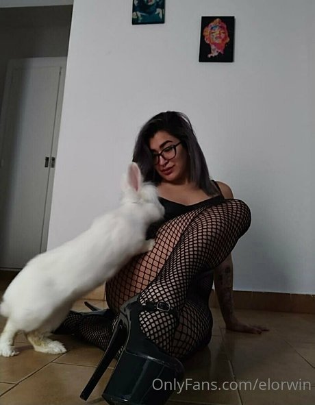 elorwin porn model photo