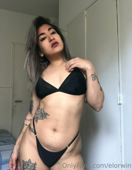 elorwin pornstar art archive