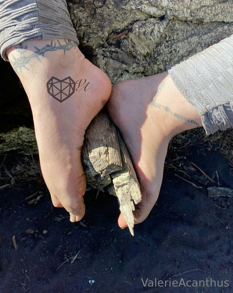 val acanthus erotic star img