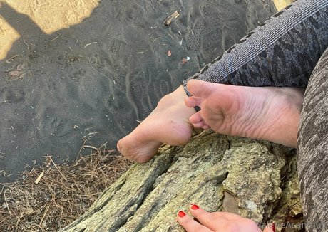 val acanthus top star pics