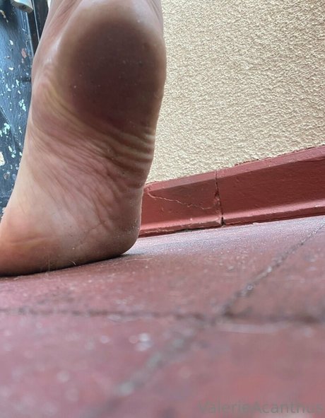 val acanthus model erotic img