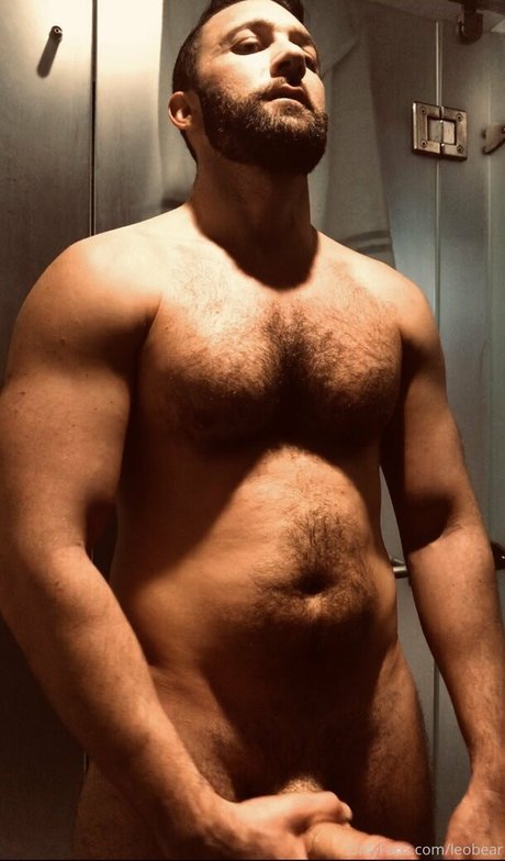 leobear star high quality pictures