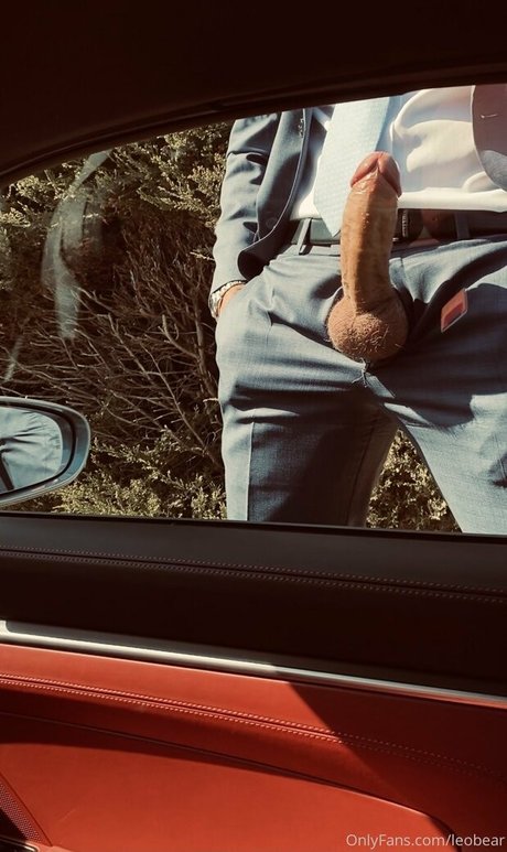 leobear beautiful star picture