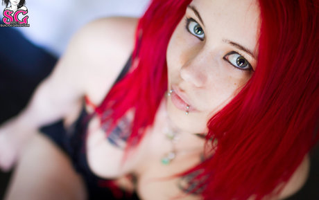 Felynx top pornstar image