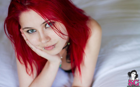 Felynx top model picture