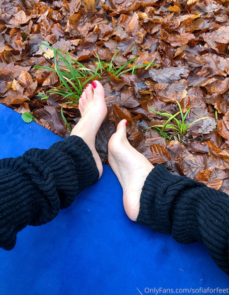 sofiaforfeet xxx actress image