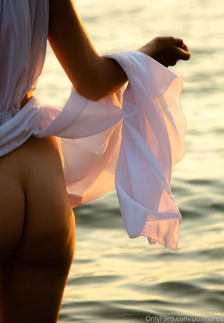 pollinared erotic star img