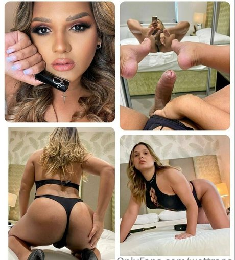 wettrans pornstar high quality archive