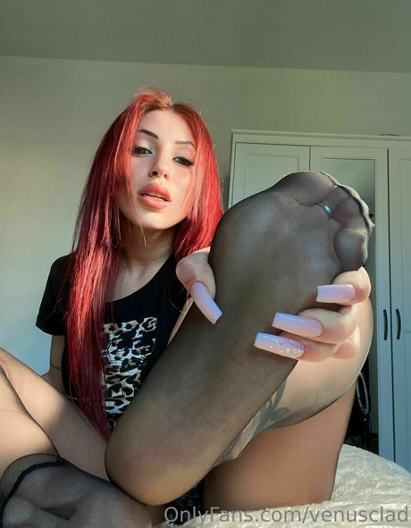 Venusclad high quality star galleries