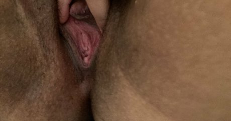 gabbiexo star sexy archive