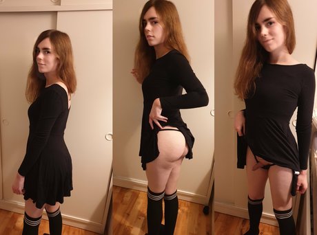 dovelark star nice pictures